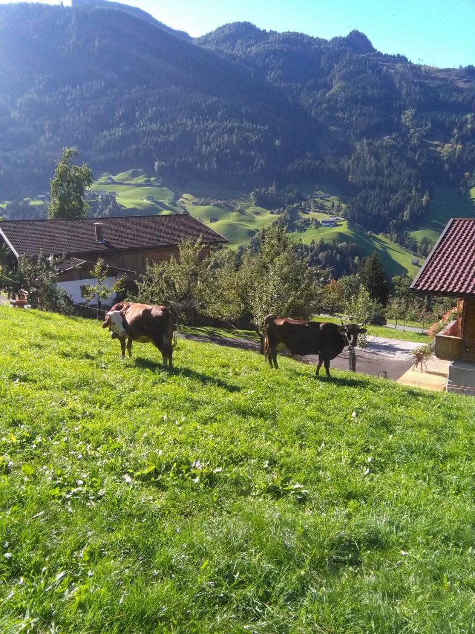 Stockhof Apartment Zell am Ziller Bagian luar foto